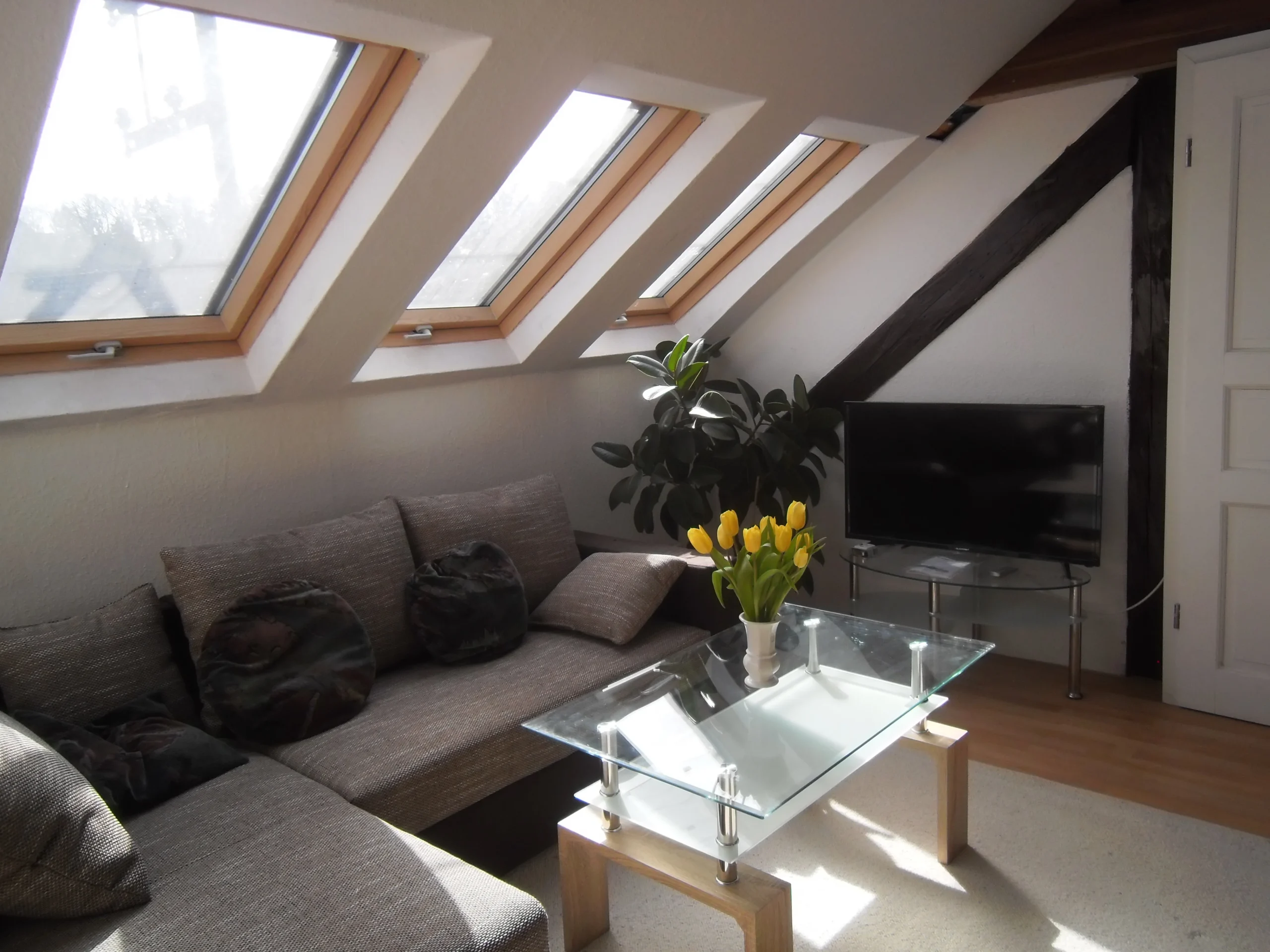 Schwarzer Adler Limburg: deutsches Restaurant